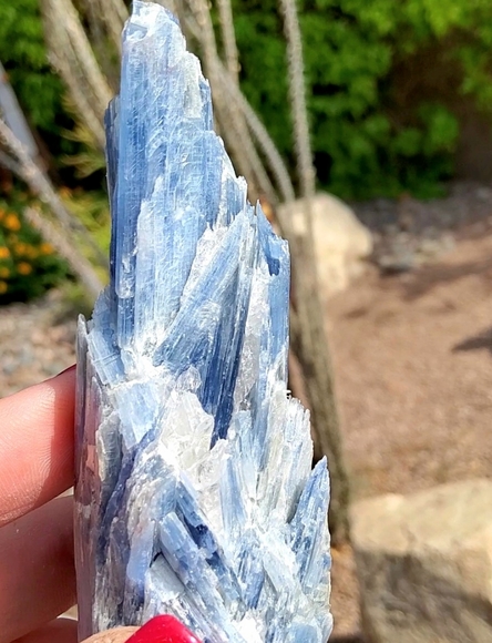 Beautiful Brazilian Blue Kyanite with Quartz Inclusions - Picture 9 of 12